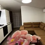 Apartment Cosy Kaunas