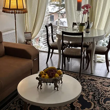 Apartment Cosy Kaunas